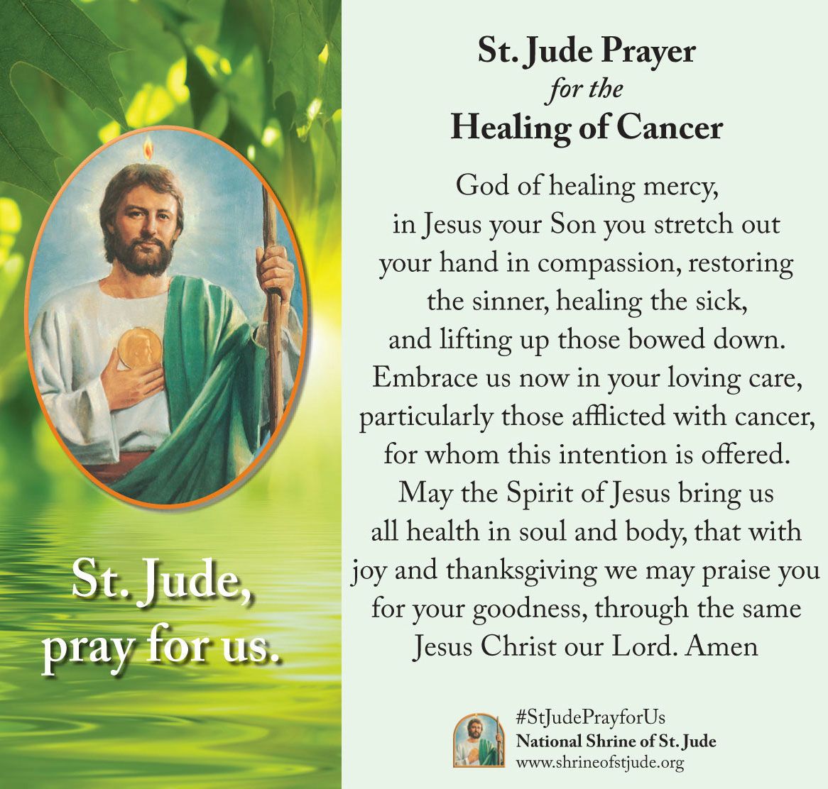 2da23e0d637d17982d9a37f8d377dbbc