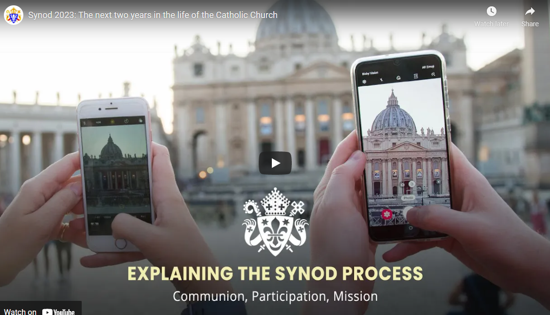 Explaining the Synod